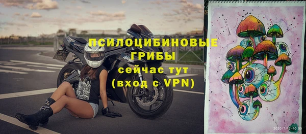 первитин Болотное