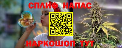 кокс Донской