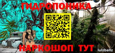 прущие крисы Донецк