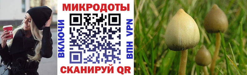 Галлюциногенные грибы ЛСД  Лениногорск 