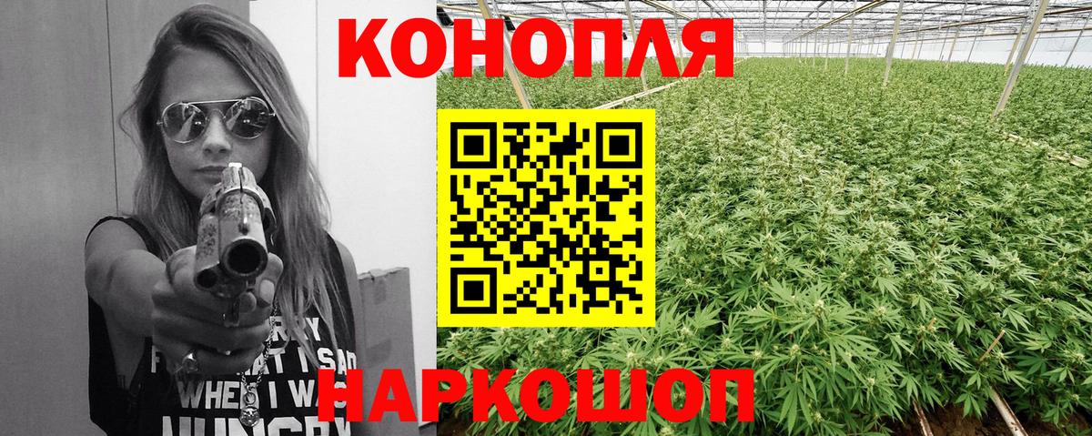 Бошки Шишки сатива  Конопля план  Вход с VPN  Бошки марихуана сатива  Шишки марихуана конопля  Лениногорск 